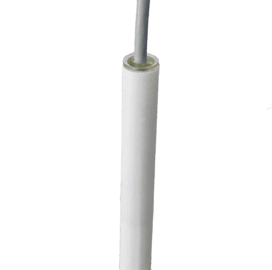 Rechner Sensors KFI-1 capacitieve niveausensor