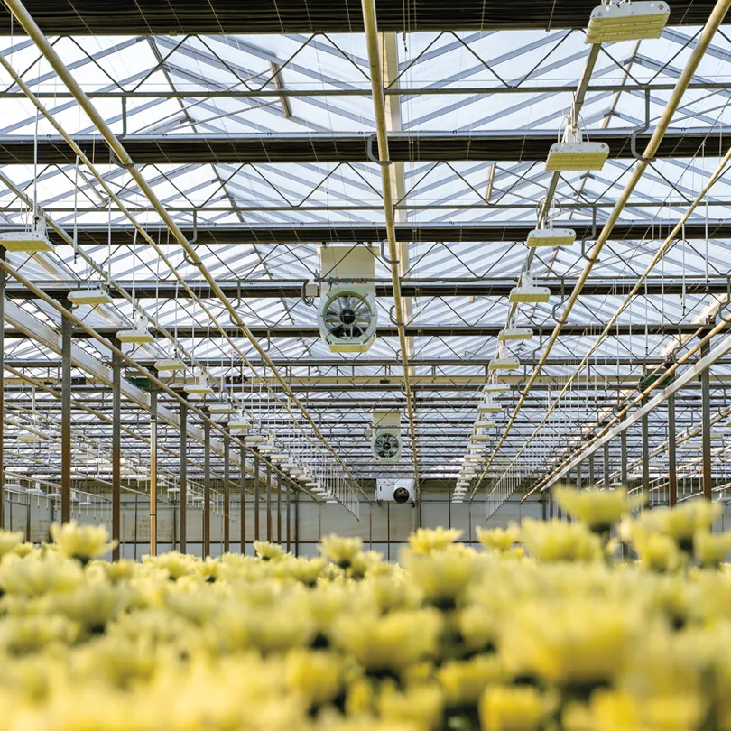 Optimyze Airmix Active kasontvochtiger warmtepomp